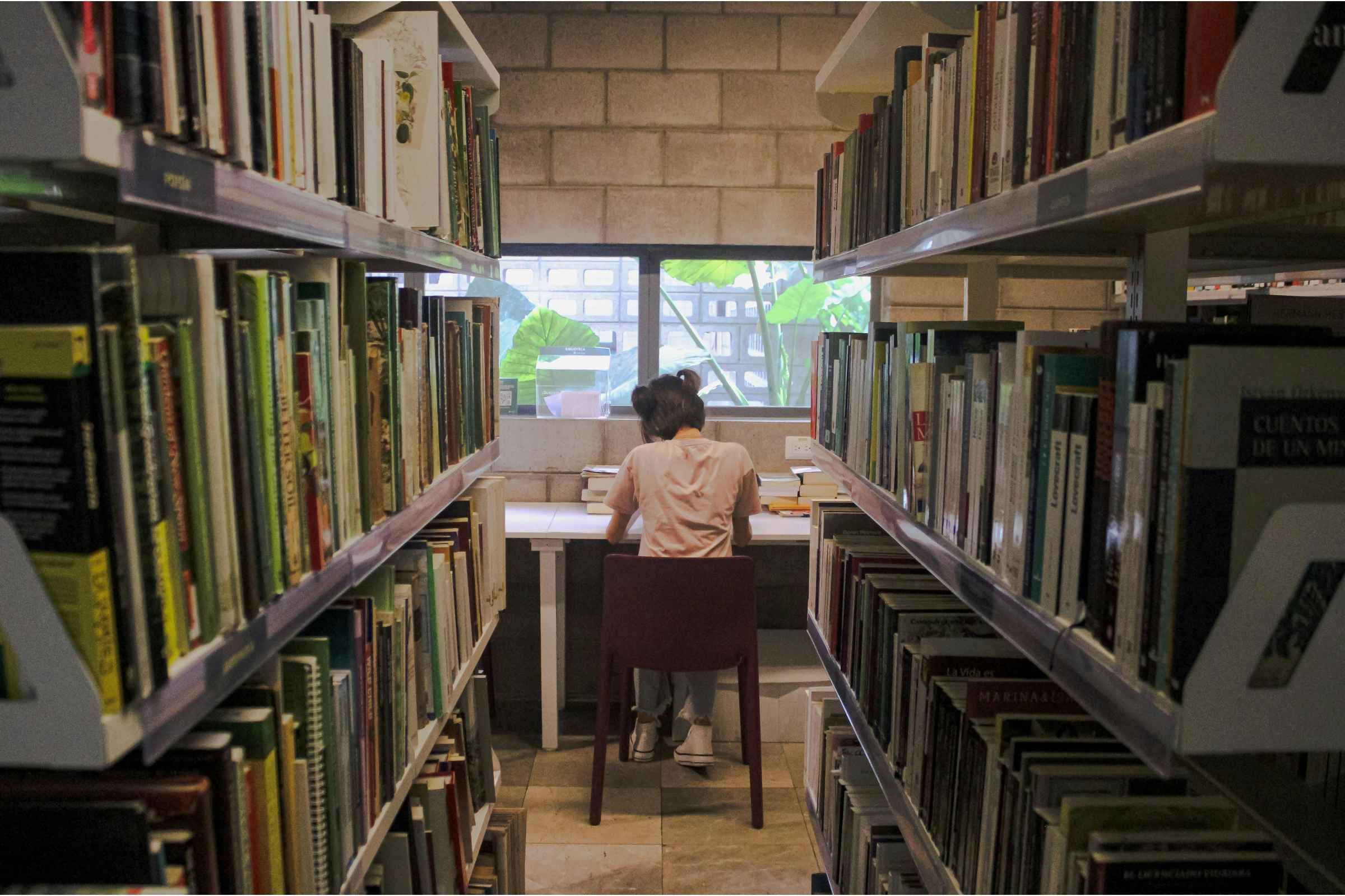Une jeune femme de dos, en train d'étudier dans une bibliothèque